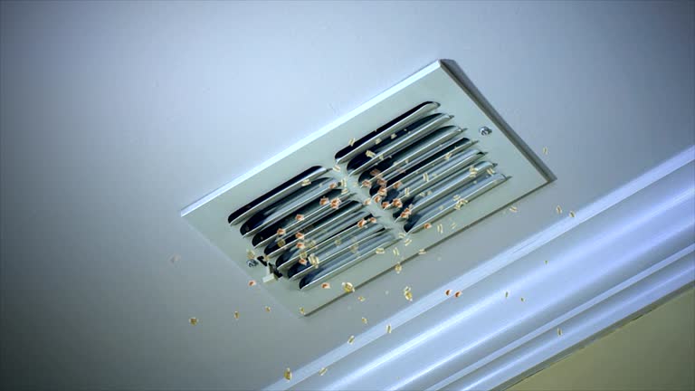Best Affordable Air Duct Cleaning  in Village Of Waukesha, WI